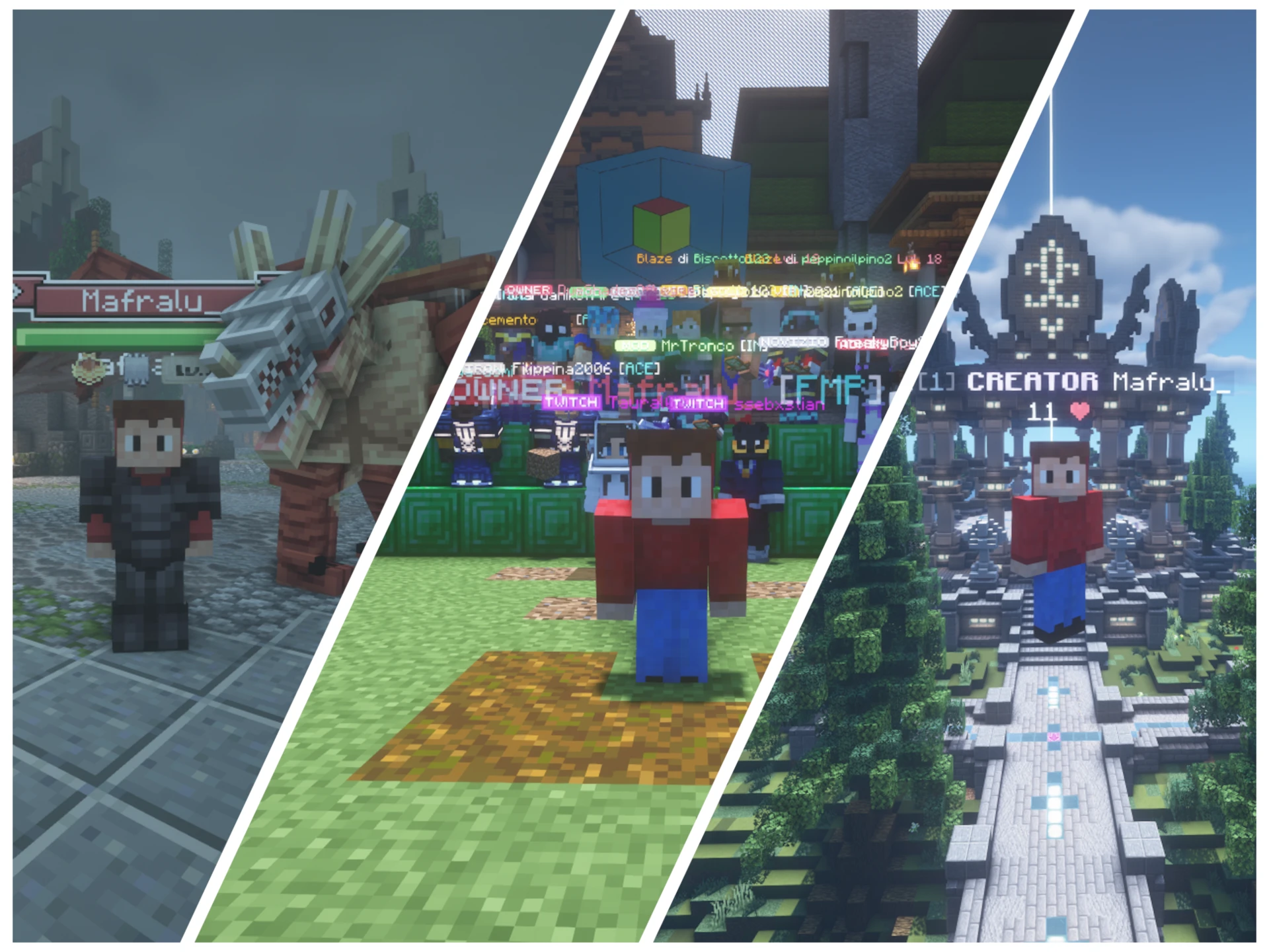 Dettaglio Server Minecraft